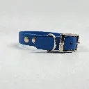 biothane-dog-collar-blue-raspberry-front