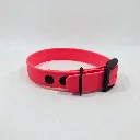 WATERMELON_POP (2).webp