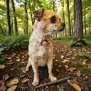 biothane-dog-collar-cotton-tail-beige-lifestyle