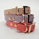 biothane-dog-collar-set-whisper-front