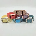 biothane-dog-collar-set-whisper-front