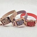 biothane-dog-collar-set-whisper-front