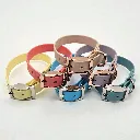 biothane-dog-collar-set-whisper-front