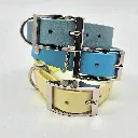 biothane-dog-collar-set-whisper-front