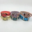 biothane-dog-collar-set-whisper-front