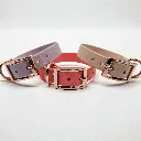 biothane-dog-collar-set-whisper-front