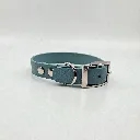 biothane-dog-collar-sea-foam-sea-green-front
