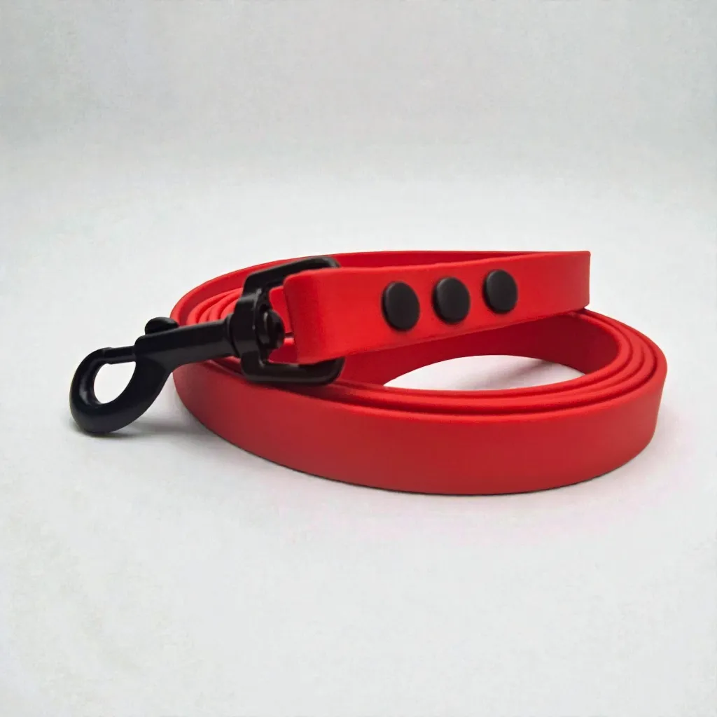 TEC_CARDINAL (1).webp