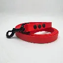 TEC_CARDINAL (1).webp