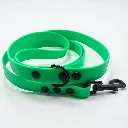 TPC_ELECTRIC_LIME (4).webp