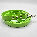 TPC_KIWI_ZING (2).webp