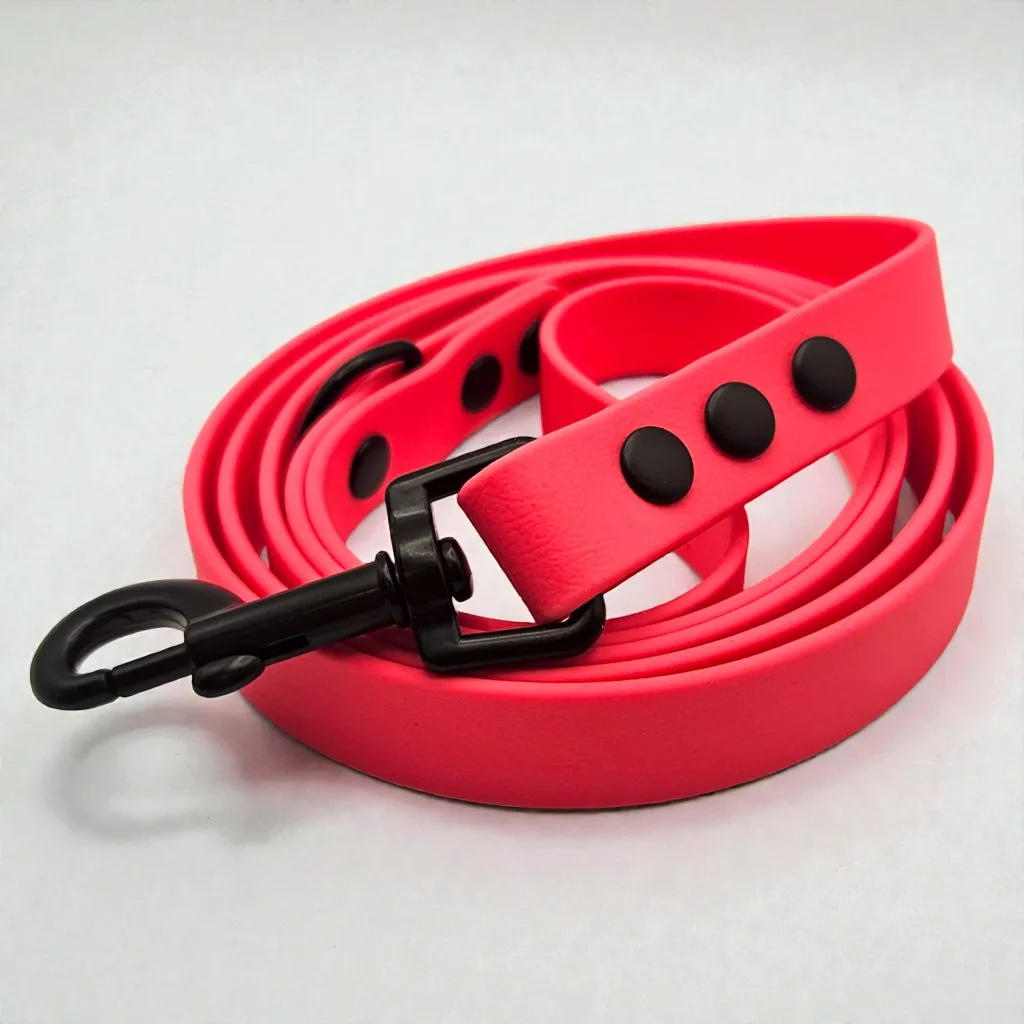 TPC_WATERMELON_POP (1).webp