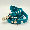 TSC_CASPIAN (2).webp