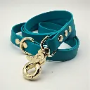 TSC_CASPIAN (1).webp