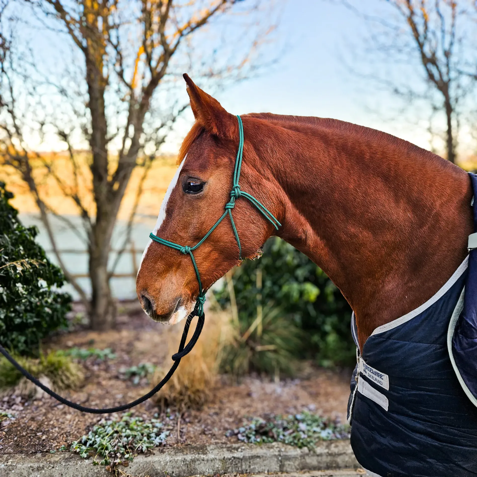 Precision All Weather Rope Halter | Oslo (Green)