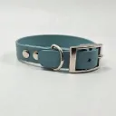 The Classic Dog Collar | Sea Foam