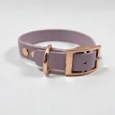 The Classic Dog Collar | Lavender Dream