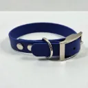 The Classic Dog Collar | Anchor Point