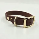 The Classic Dog Collar | Pioneer