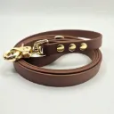 The Classic Dog Lead | Pioneer