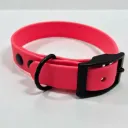 The Classic Dog Collar | Watermelon Pop