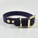 The Classic Dog Collar | Odessa
