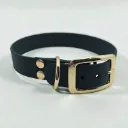 The Classic Dog Collar | Oslo