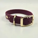 The Classic Dog Collar | Porto