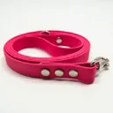 The Classic Dog Lead | Berry Burst