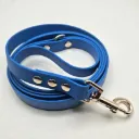 The Classic Dog Lead | Blue Raspberry