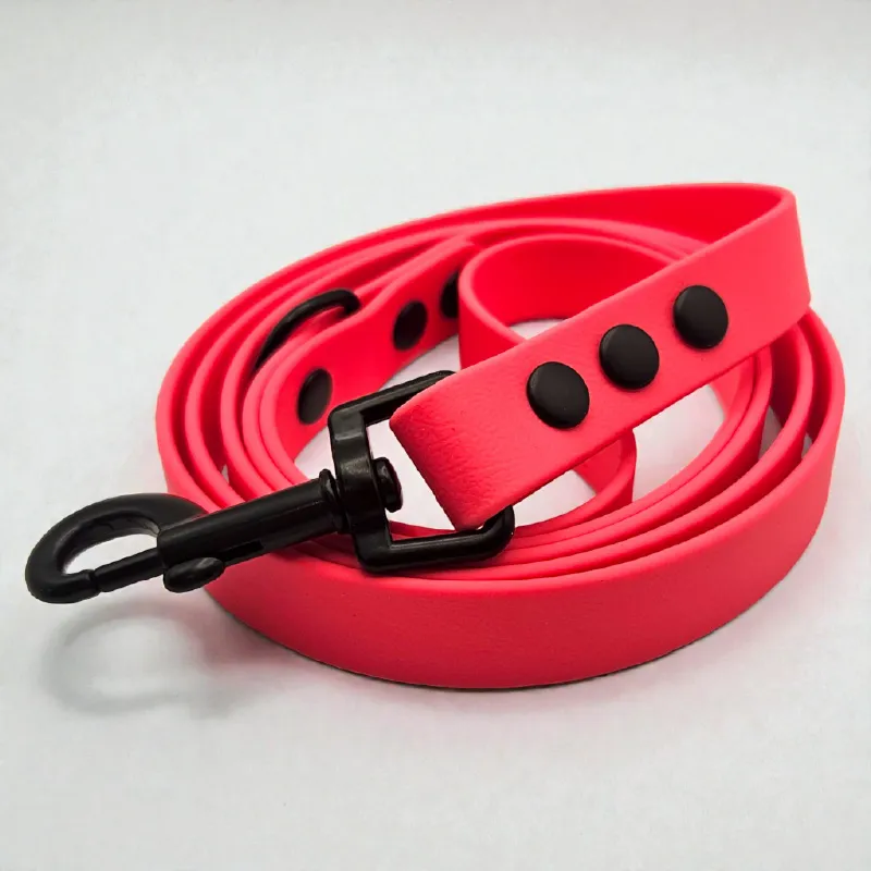 The Classic Dog Lead | Watermelon Pop