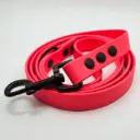 The Classic Dog Lead | Watermelon Pop