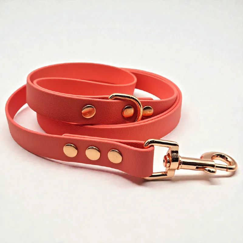 The Classic Dog Lead | Misty Coral