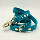 The Classic Dog Lead | Caspian