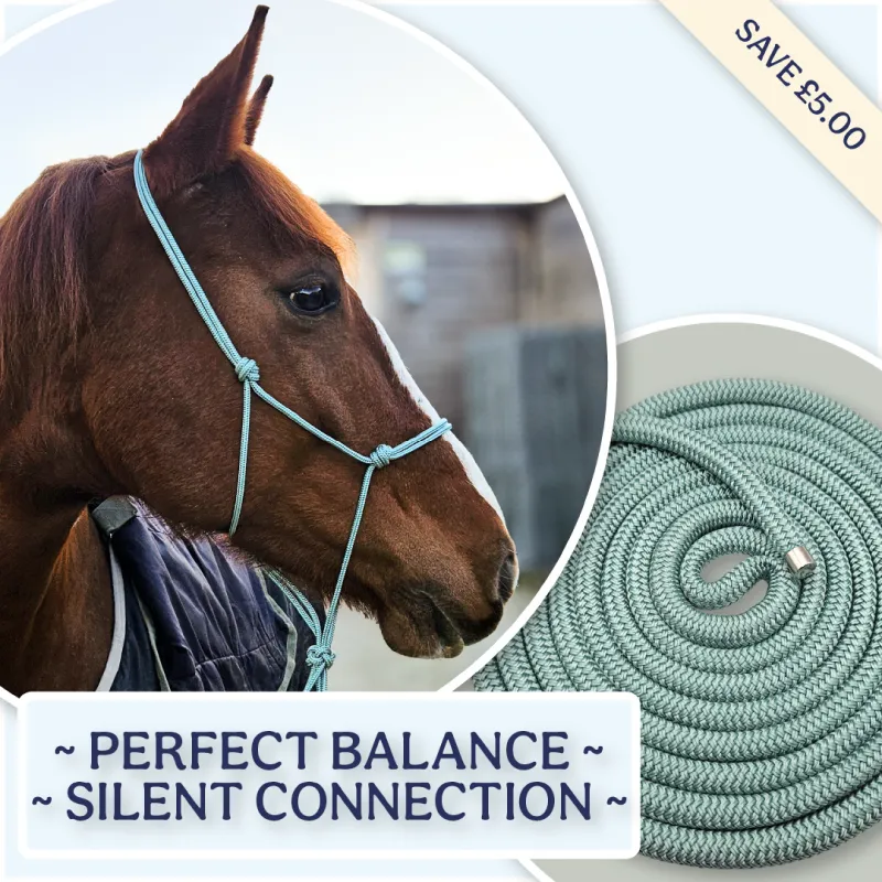 The Precision Groundwork Set | All-Weather Training System