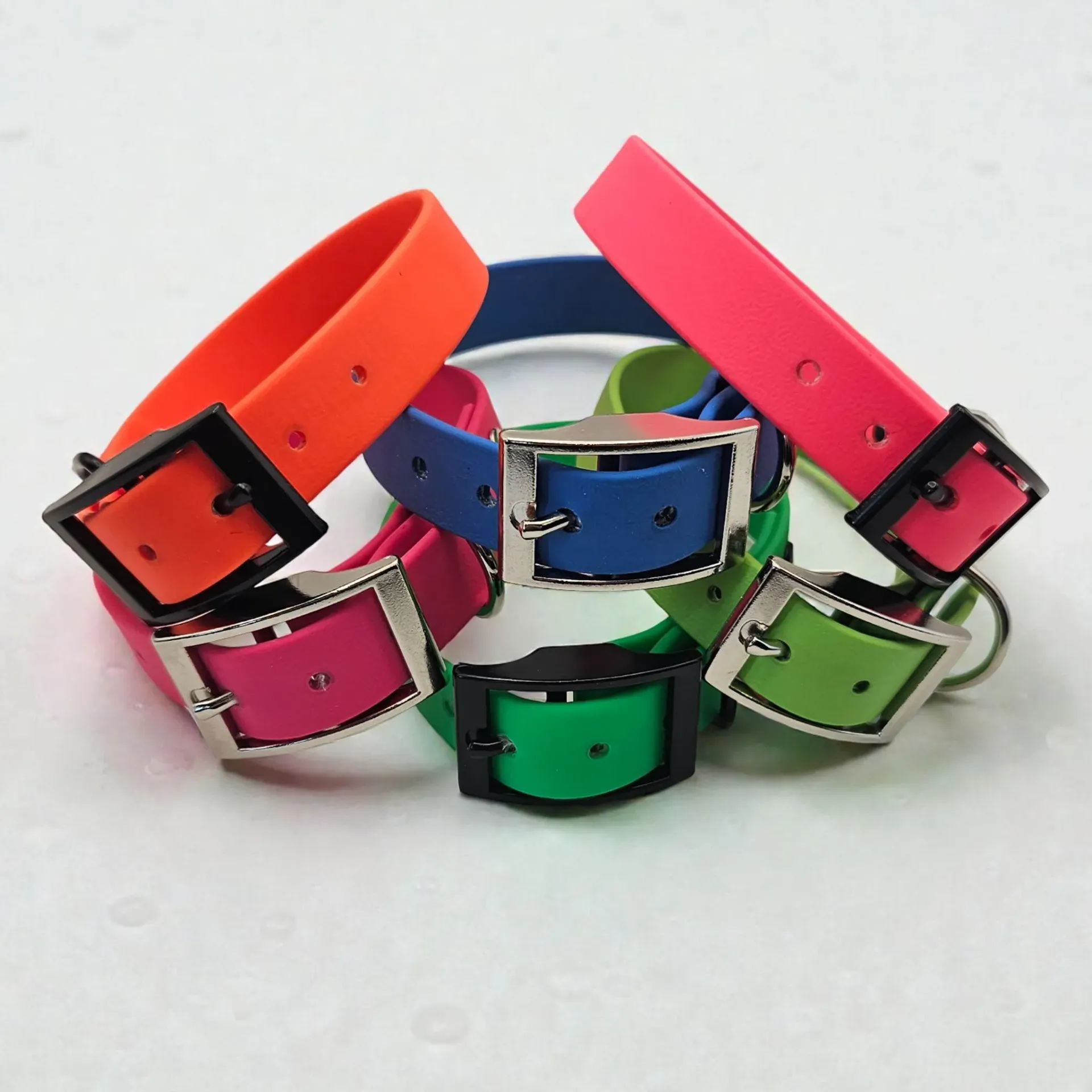 The Classic Dog Collar | The POP Collection