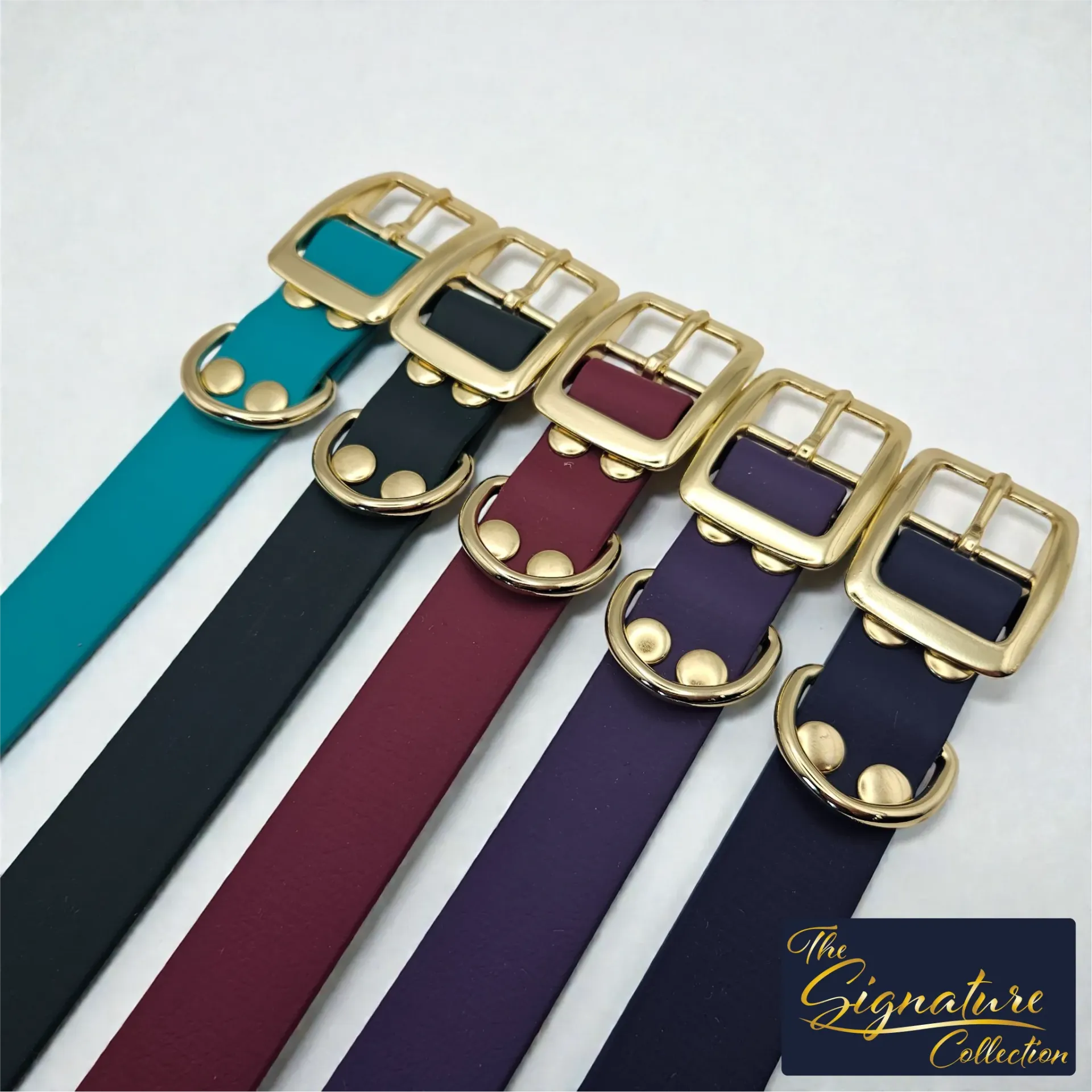 [CLASSIC-CASPI-XS-2] The Classic Dog Collar | The Signature Collection (Extra Small (19 - 25cm), Caspian)