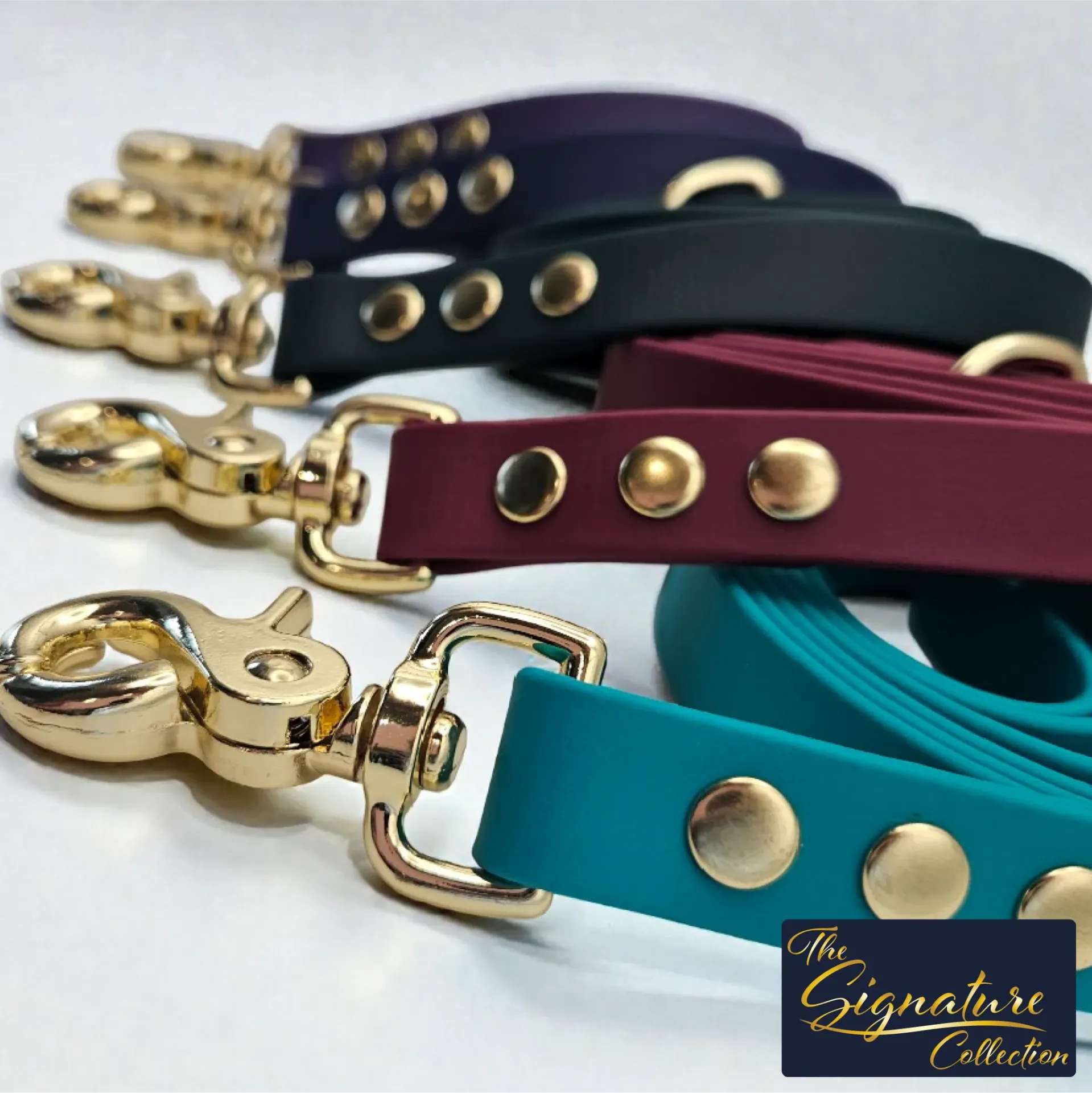 [CLASSIC-CASPI-SLIM-2] The Classic Dog Lead | The Signature Collection (Slim (150cm x 1.6cm), Caspian)