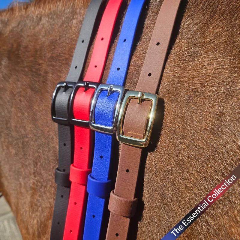 [NECK-ANCHO-P/C-1] BioThane® Adjustable Neck Strap | The Essential Collection (Pony/Cob, Anchor Point)
