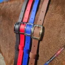 BioThane® Adjustable Neck Strap | The Essential Collection