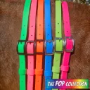 BioThane® Adjustable Neck Strap | The POP Collection
