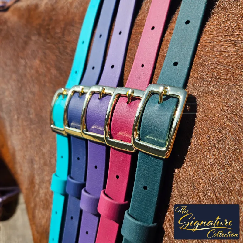 [NECK-CASPI-P/C-1] BioThane® Adjustable Neck Strap | The Signature Collection (Pony/Cob, Caspian)