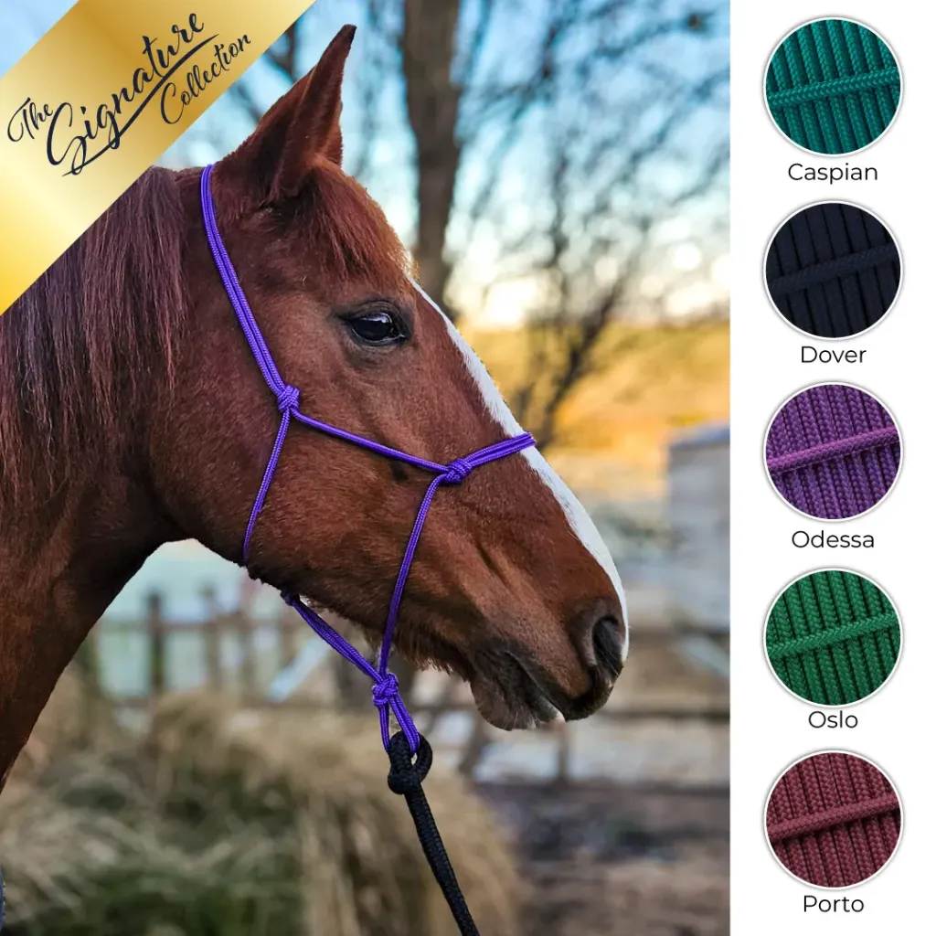 [HALTER-CASPI-SPONY-1] All Weather Rope Halter | The Signature Collection (Small Pony, Caspian)