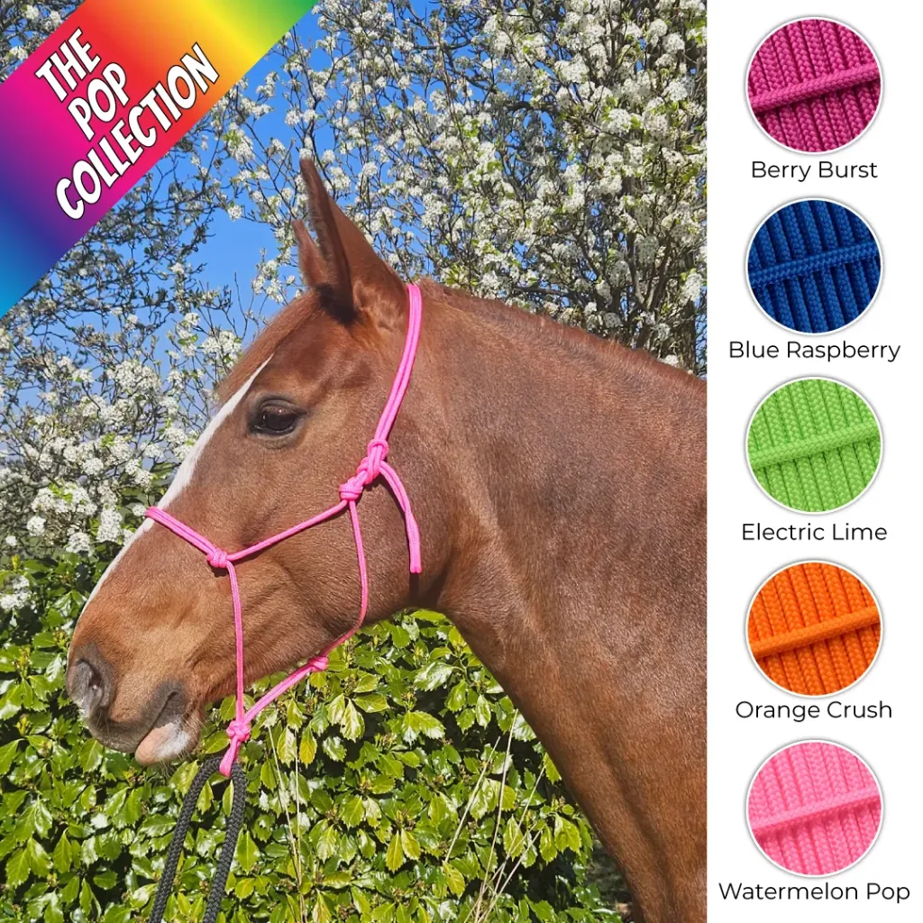 [HALTER-BERRY-SPONY-1] All Weather Rope Halter | The POP Collection (Small Pony, Berry Burst)