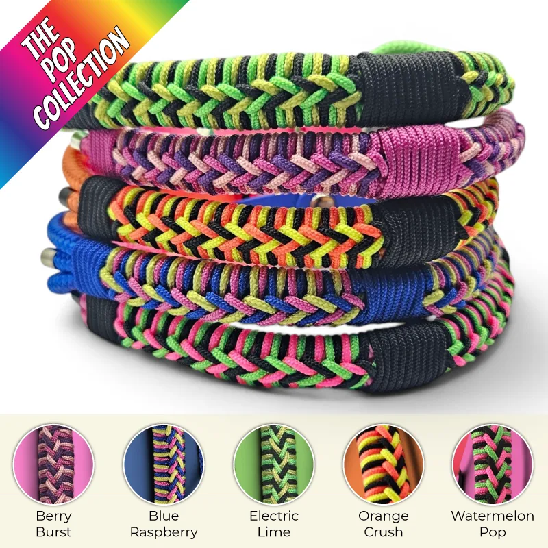 The Firle Dog Collar | The POP Collection
