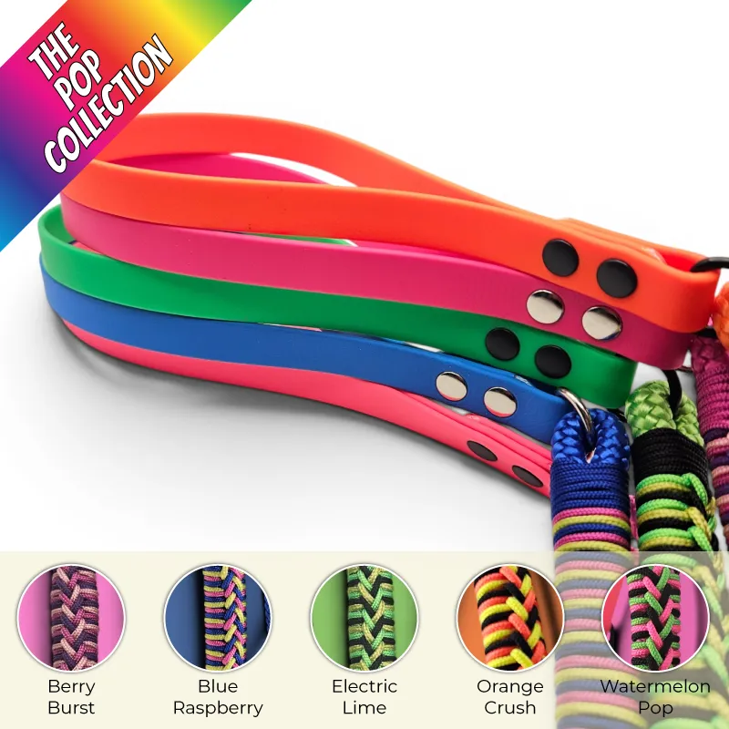 [FIRLE-BERRY-STD-1] The Firle Dog Lead | The POP Collection (Berry Burst)