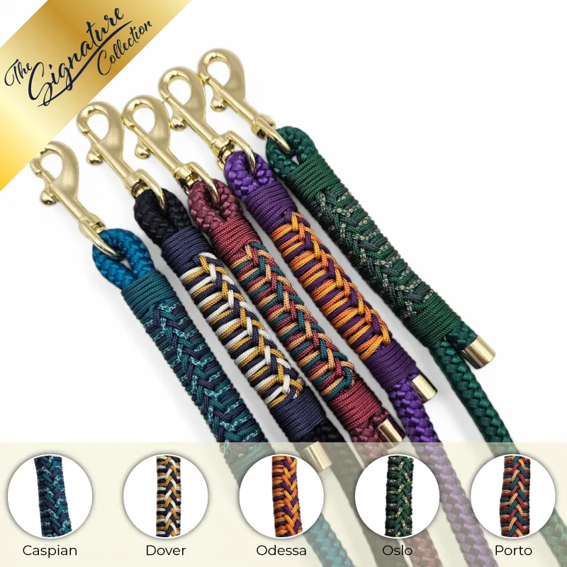 [FIRLE-CASPI-STD-1] The Firle Dog Lead | The Signature Collection (Caspian)